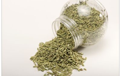 Fennel Seeds Whole & Ground