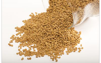 Fenugreek Seeds Whole & Ground