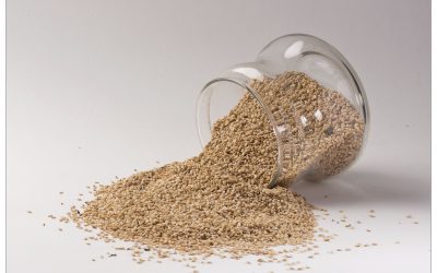 NATURAL SESAME SEEDS