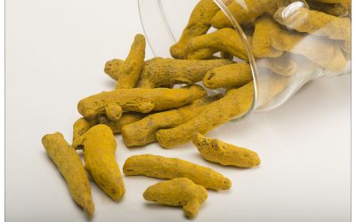 Turmeric Finger & Ground