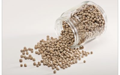Chick Peas