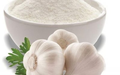 Powder Garlic