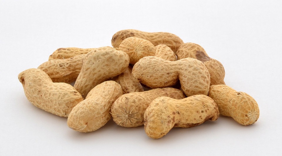 PEANUTS